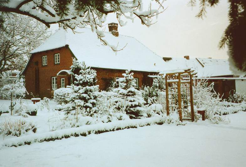fewo307.jpg